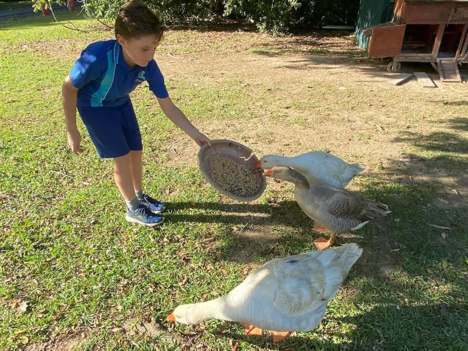 Pinbarren Green Lodges Noosa エクステリア 写真