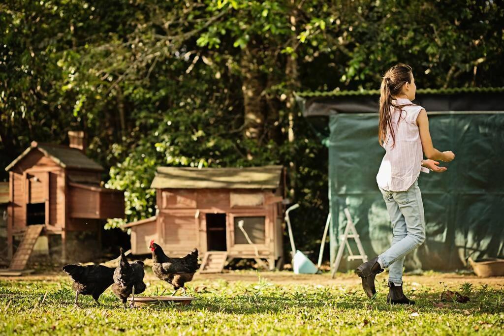 Pinbarren Green Lodges Noosa エクステリア 写真