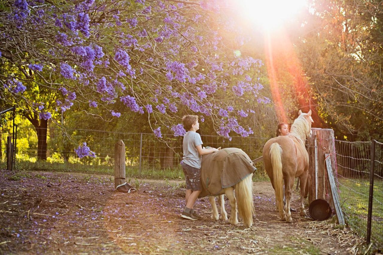 Pinbarren Green Lodges Noosa エクステリア 写真